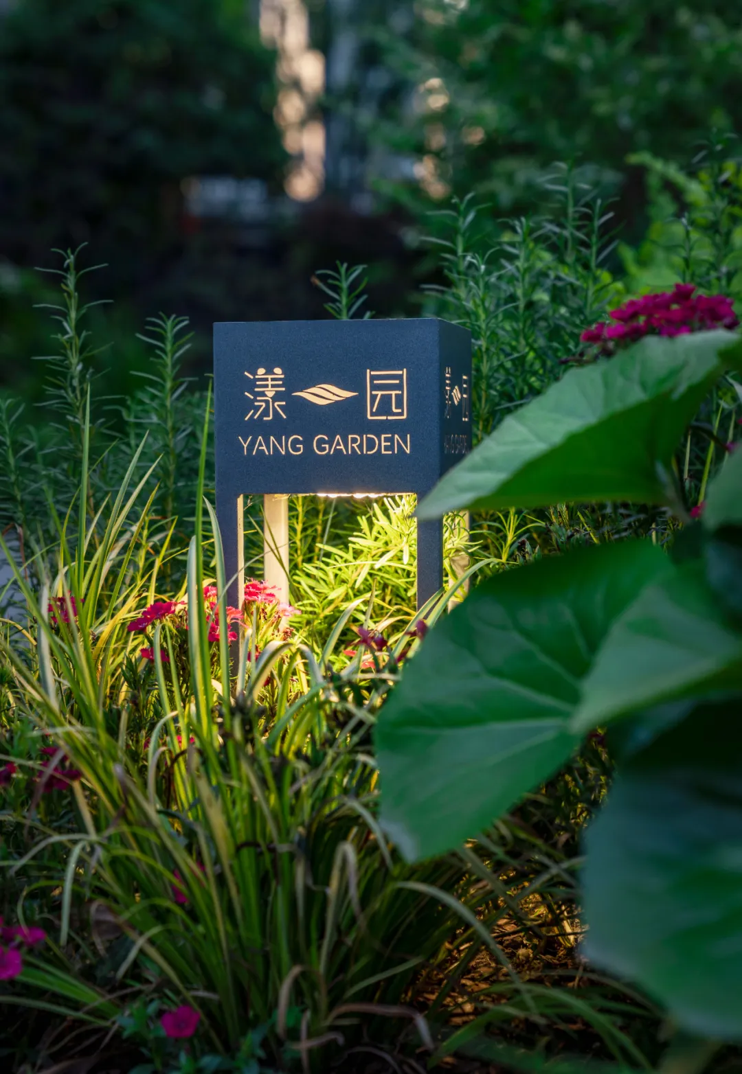 1737861401843885.jpg 1737861368031.jpg