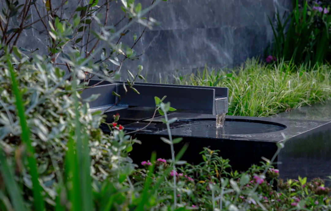 1737861405209497.jpg 1737861372784.jpg