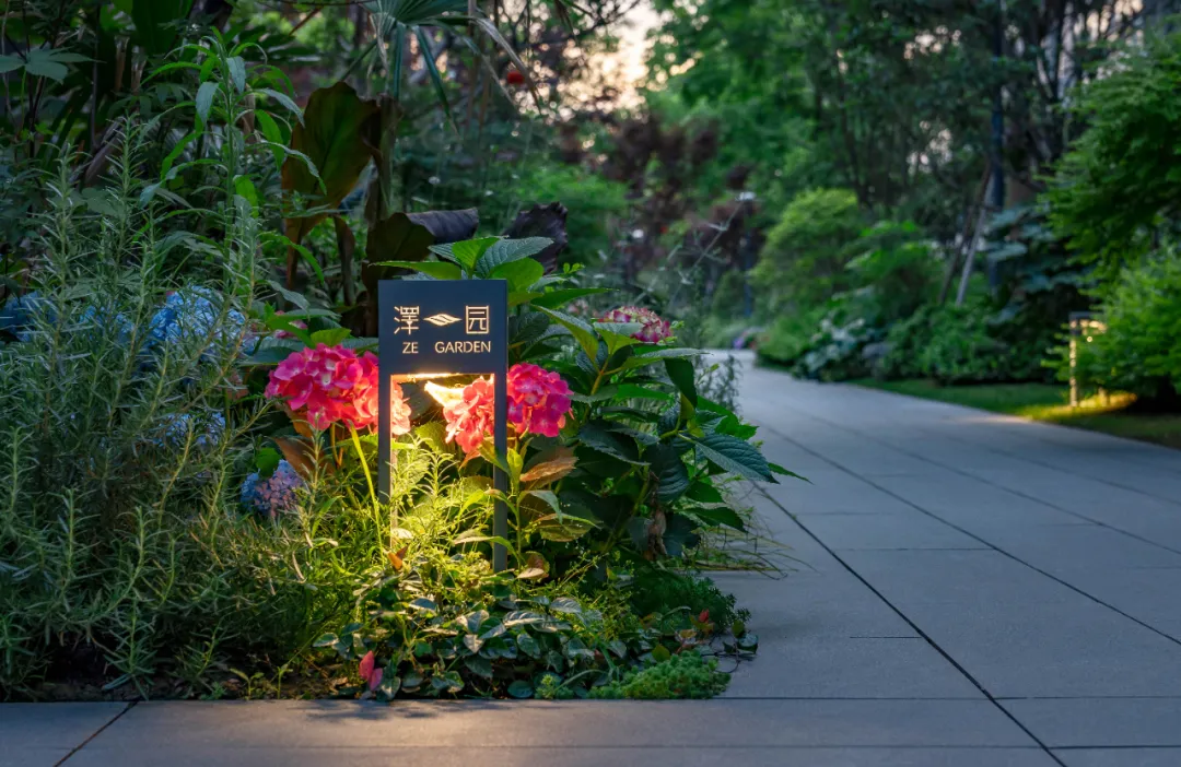 1737861409250823.jpg 1737861374809.jpg