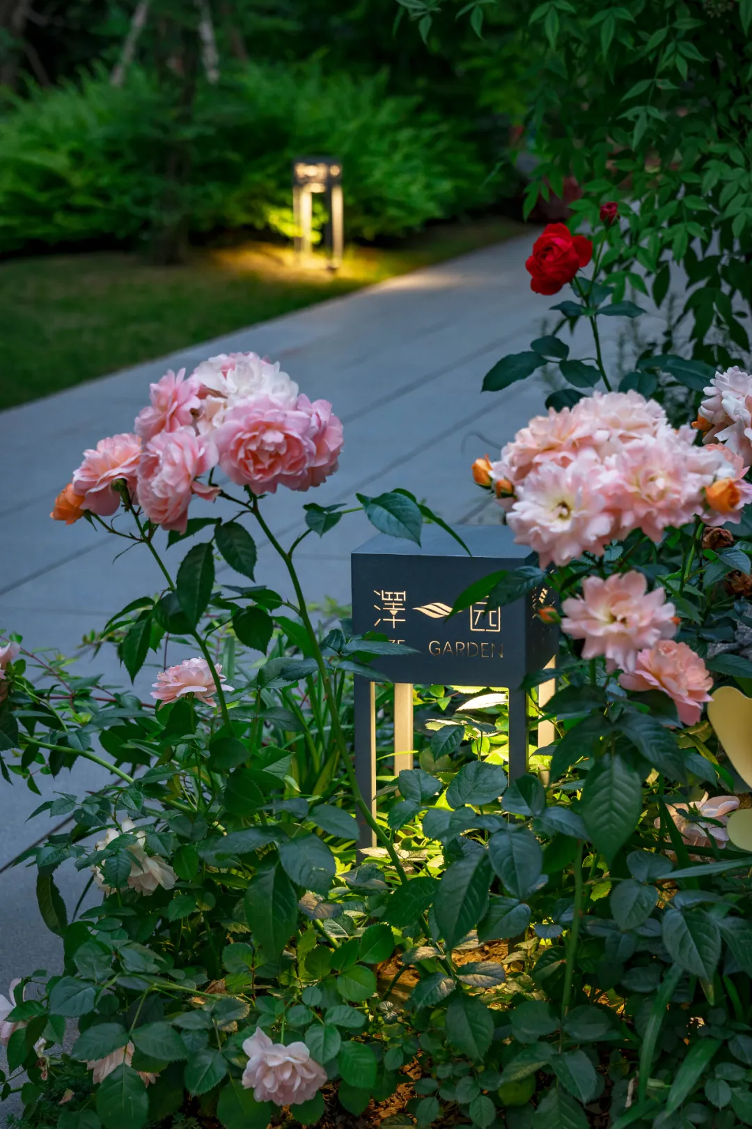 1737861414273269.jpg 1737861377032.jpg