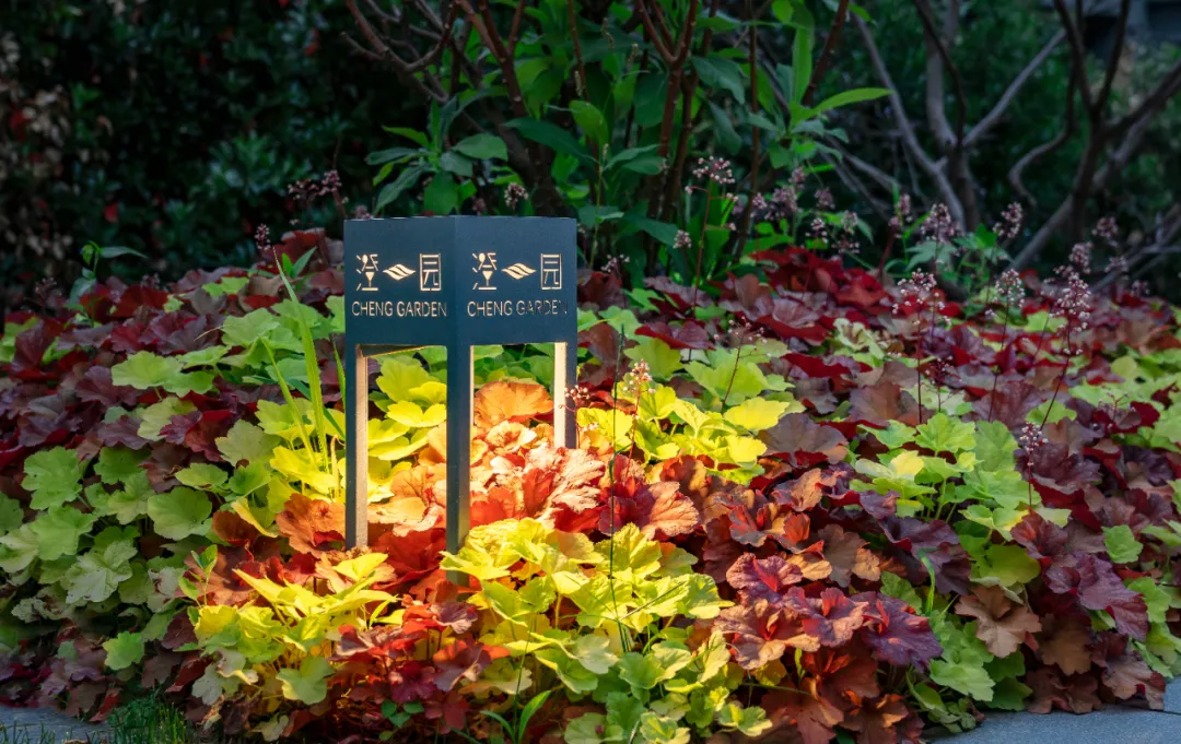 1737861435344982.jpg 1737861387312.jpg