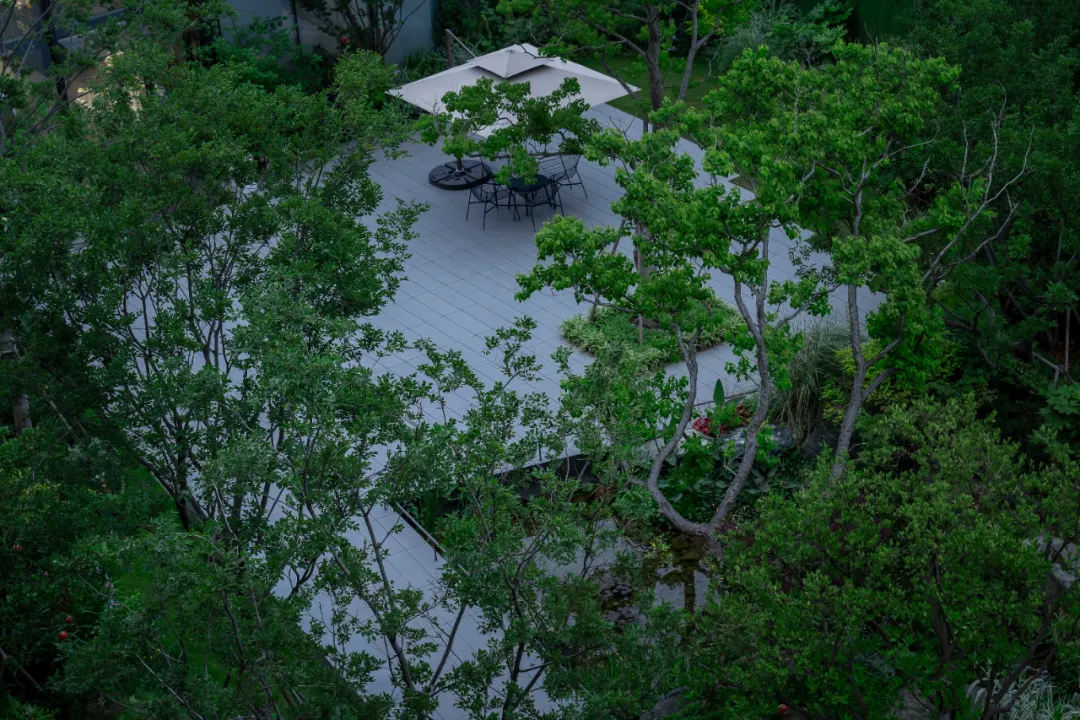 1737861439182762.jpg 1737861389470.jpg