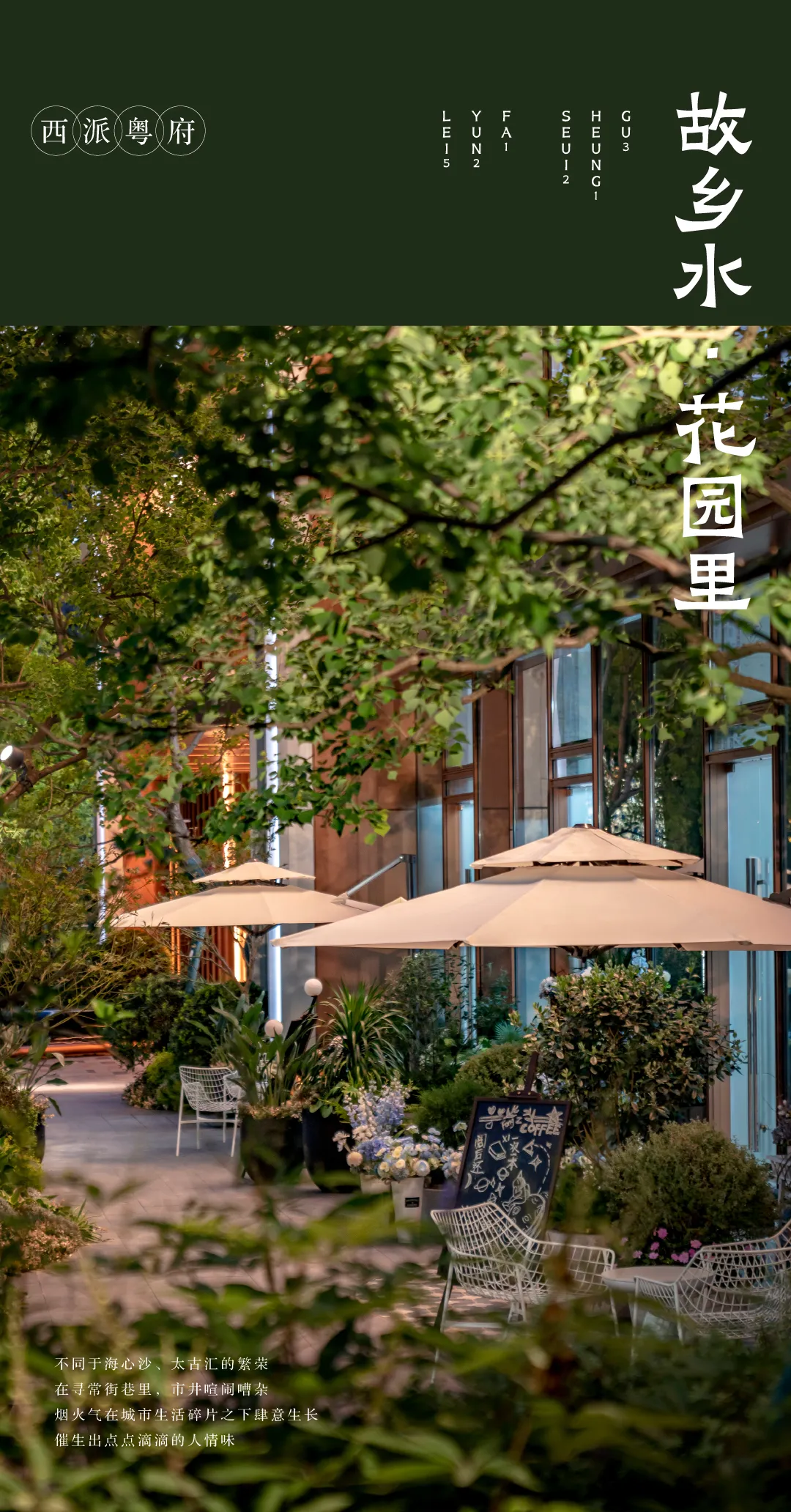 1737862497172700.jpg 1737862486582.jpg