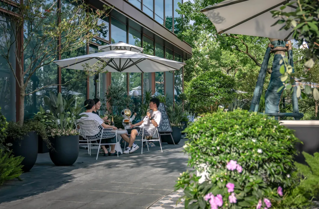 1737862697112356.jpg 1737862686155.jpg