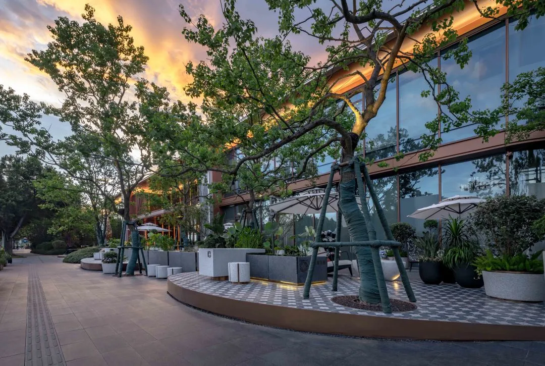 1737862778933171.jpg 1737862690292.jpg