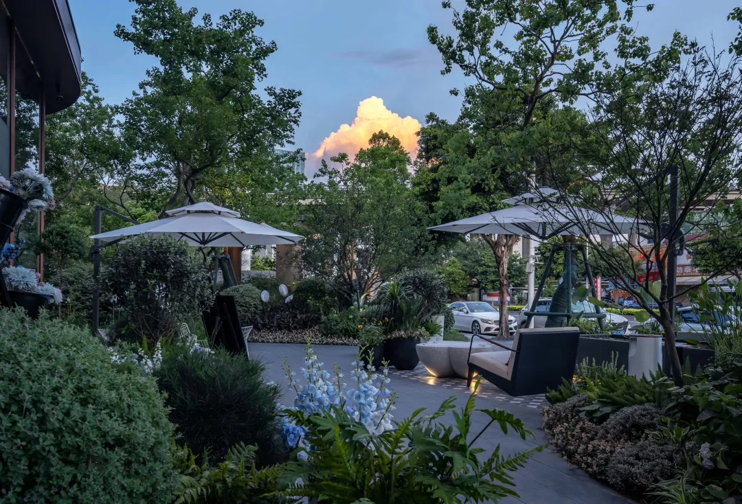 1737862782199530.jpg 1737862692481.jpg