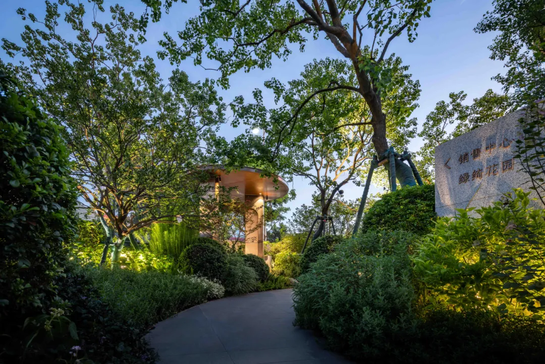 1737862869173743.jpg 1737862838987.jpg