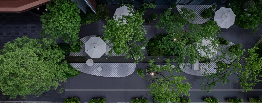 1737862956122944.jpg 1737862922727.jpg