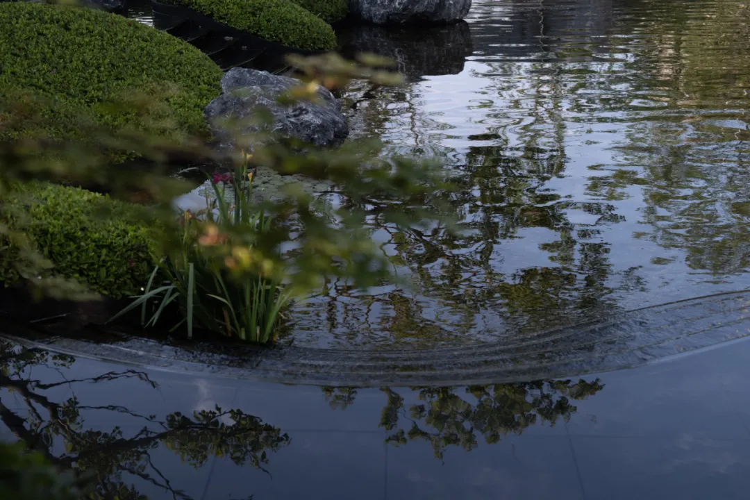 1737874408135768.jpg 1737874395575.jpg