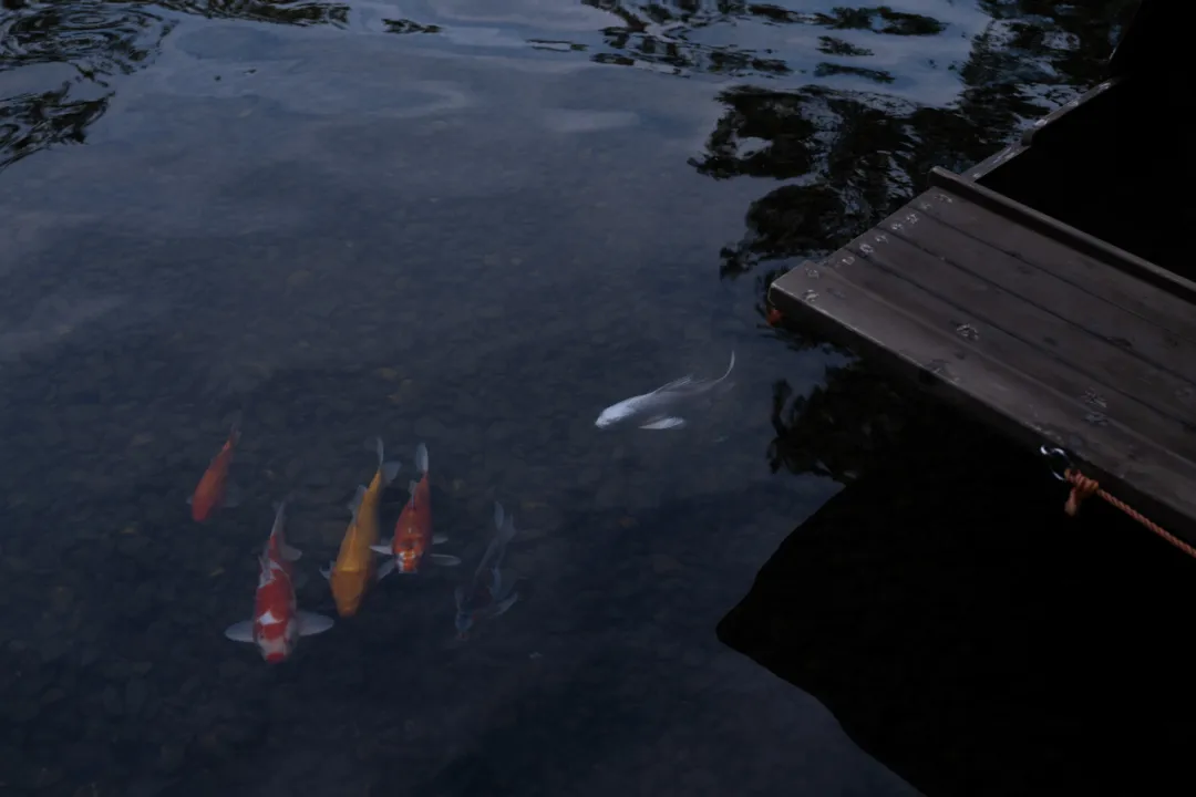 1737874413468804.jpg 1737874399469.jpg