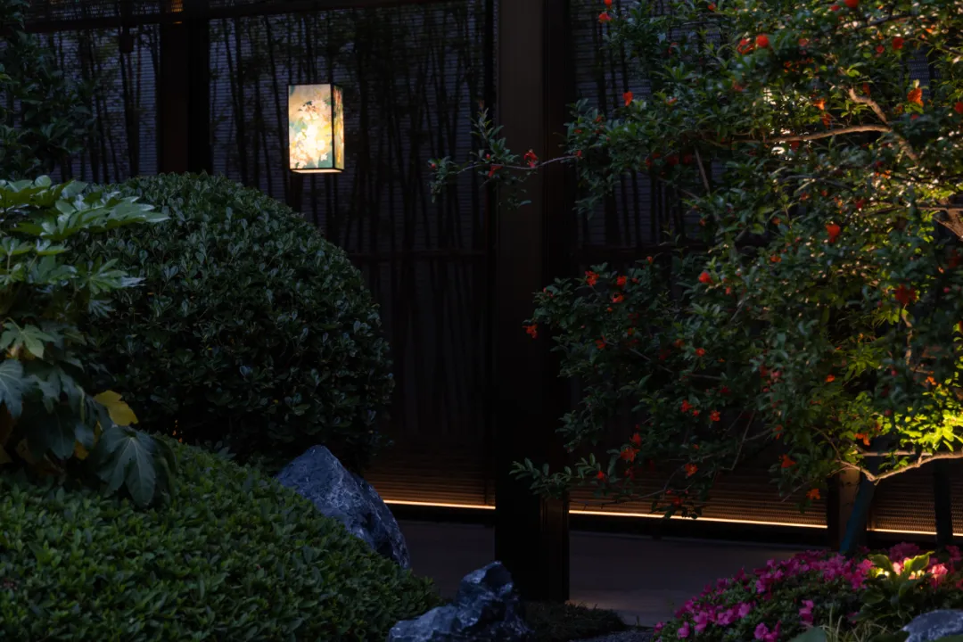 1737874435168877.jpg 1737874429426.jpg