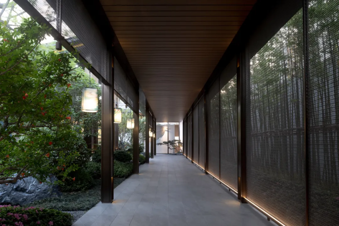 1737874449175046.jpg 1737874445759.jpg