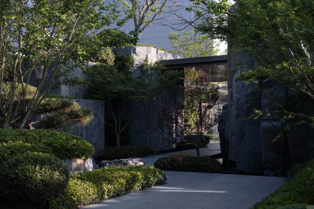 1737874531496824.jpg 1737874513443.jpg