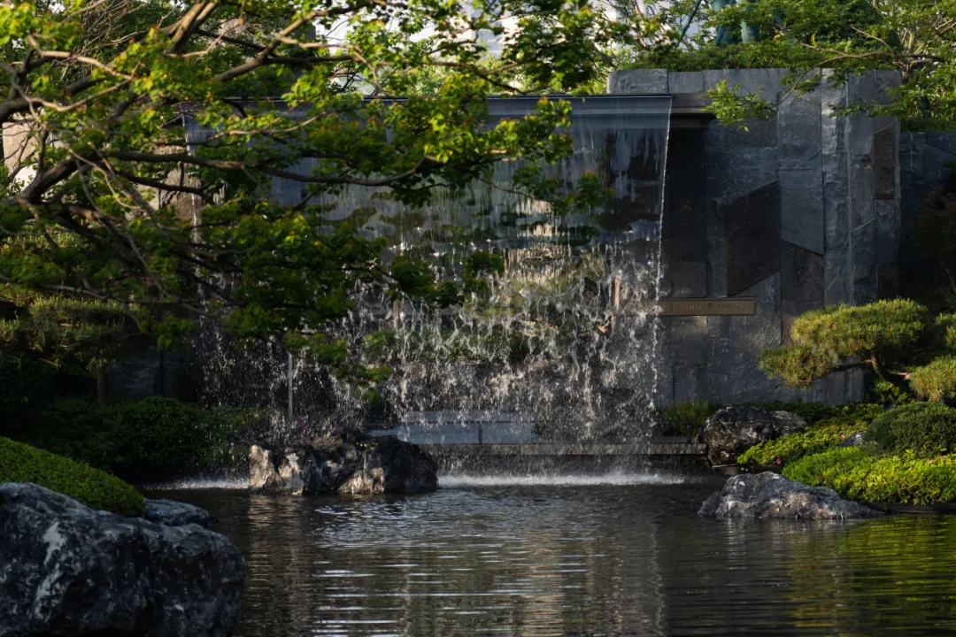 1737874708321237.jpg 1737874683105.jpg