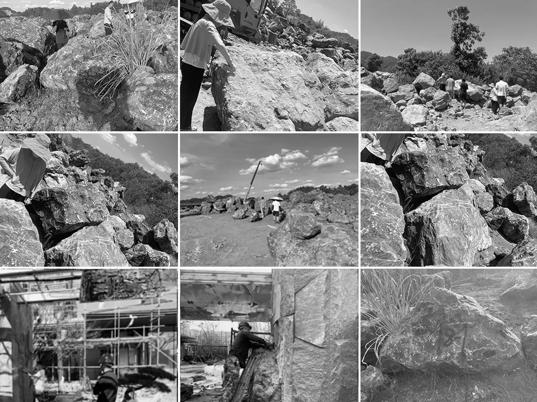 1737874741488701.jpg 1737874735382.jpg