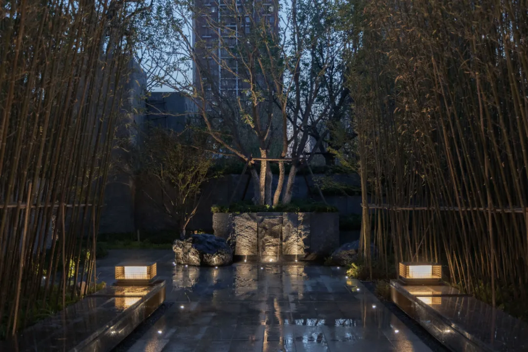 1737876491131317.jpg 1737876476216.jpg