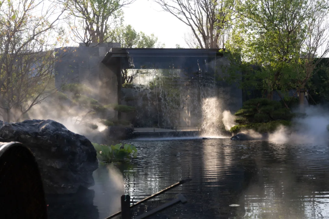 1737876557105591.jpg 1737876525575.jpg