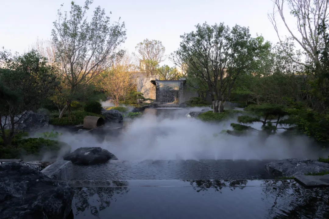 1737876633280417.jpg 1737876619988.jpg