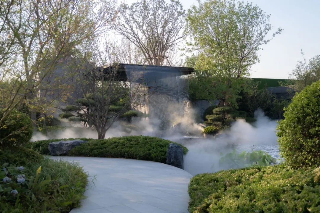 1737876715181793.jpg 1737876697422.jpg