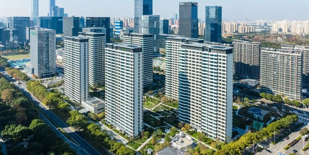 1738980657356092.jpg 1738980646460.jpg