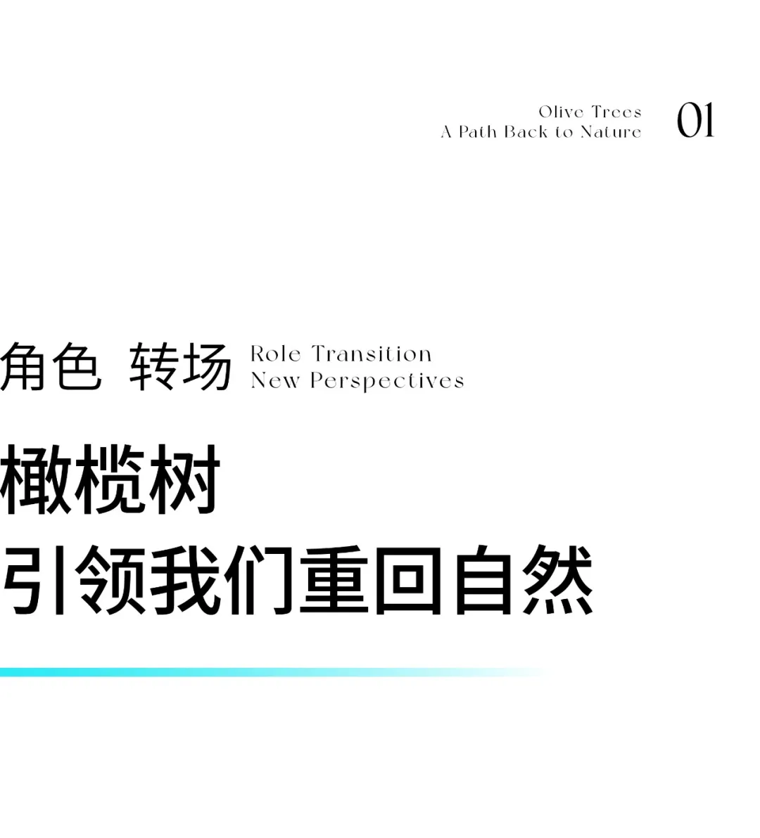 1738980666173442.jpg 1738980654438.jpg