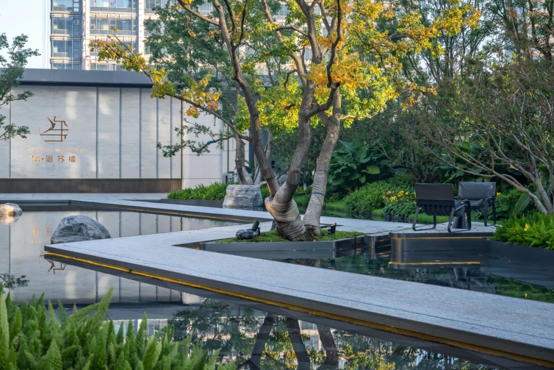 1738980979187260.jpg 1738980951996.jpg