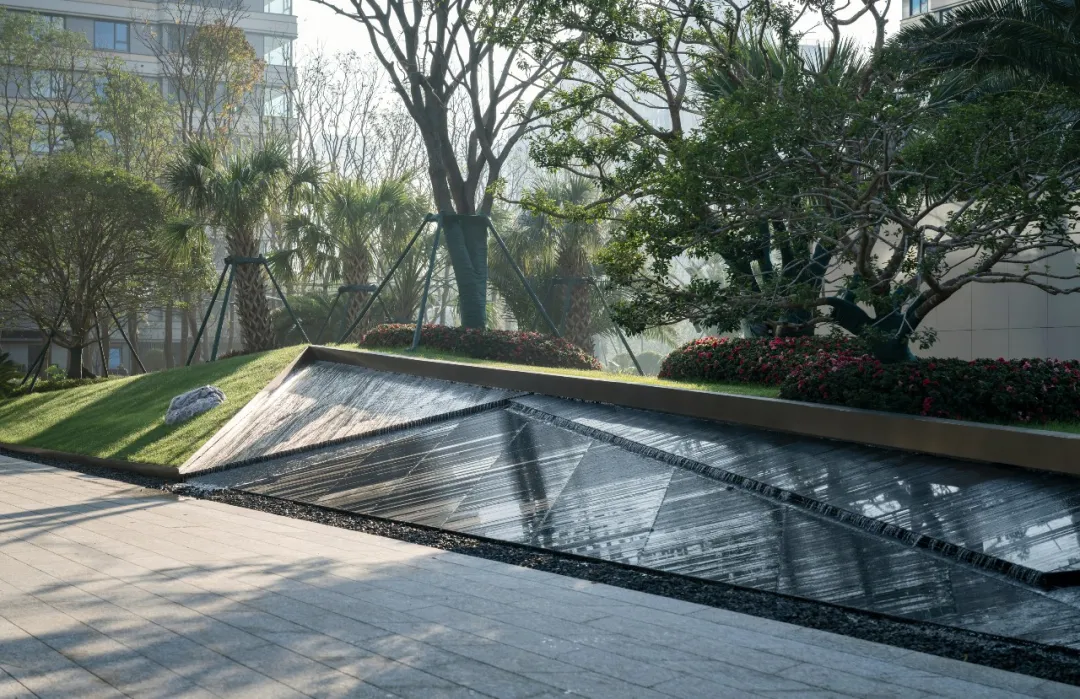 1738981029987531.jpg 1738981011218.jpg