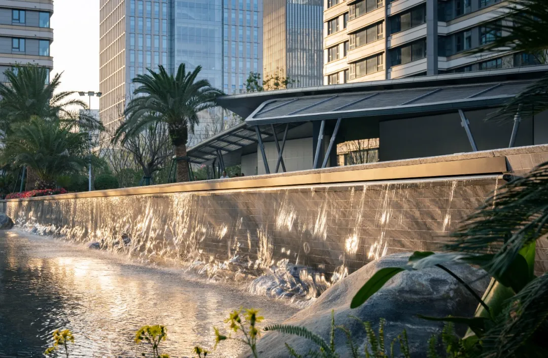 1738981127146197.jpg 1738981098269.jpg