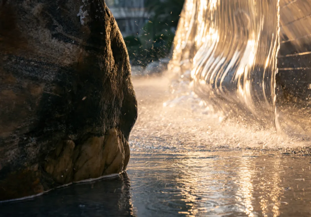 1738981134205103.jpg 1738981099925.jpg