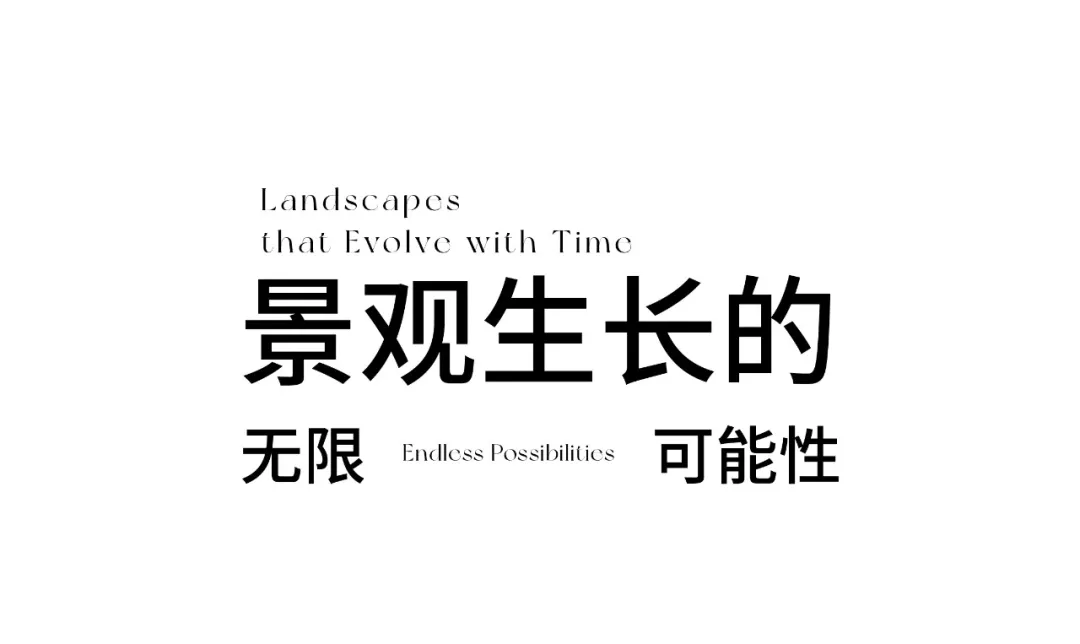 1738981257169006.jpg 1738981231613.jpg