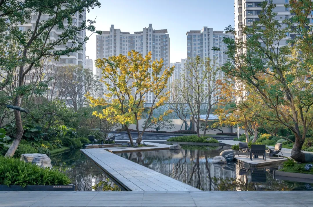 1738981289122467.jpg 1738981279893.jpg