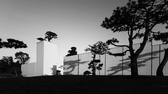 ��ʱ������(�й���)�������ǲ�!