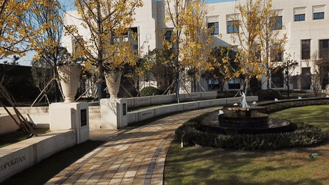 ��ʱ������(�й���)�������ǲ�!