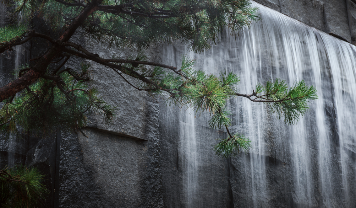 ��ʱ������(�й���)�������ǲ�!