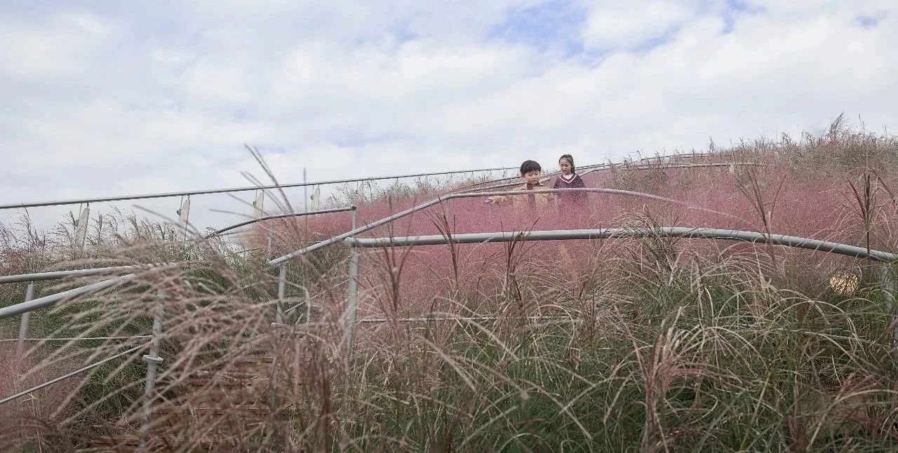 ��ʱ������(�й���)�������ǲ�!