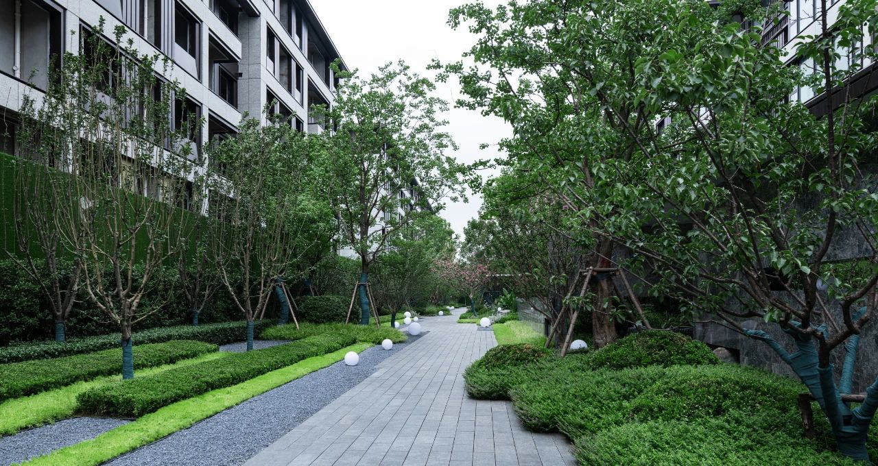 ��ʱ������(�й���)�������ǲ�!