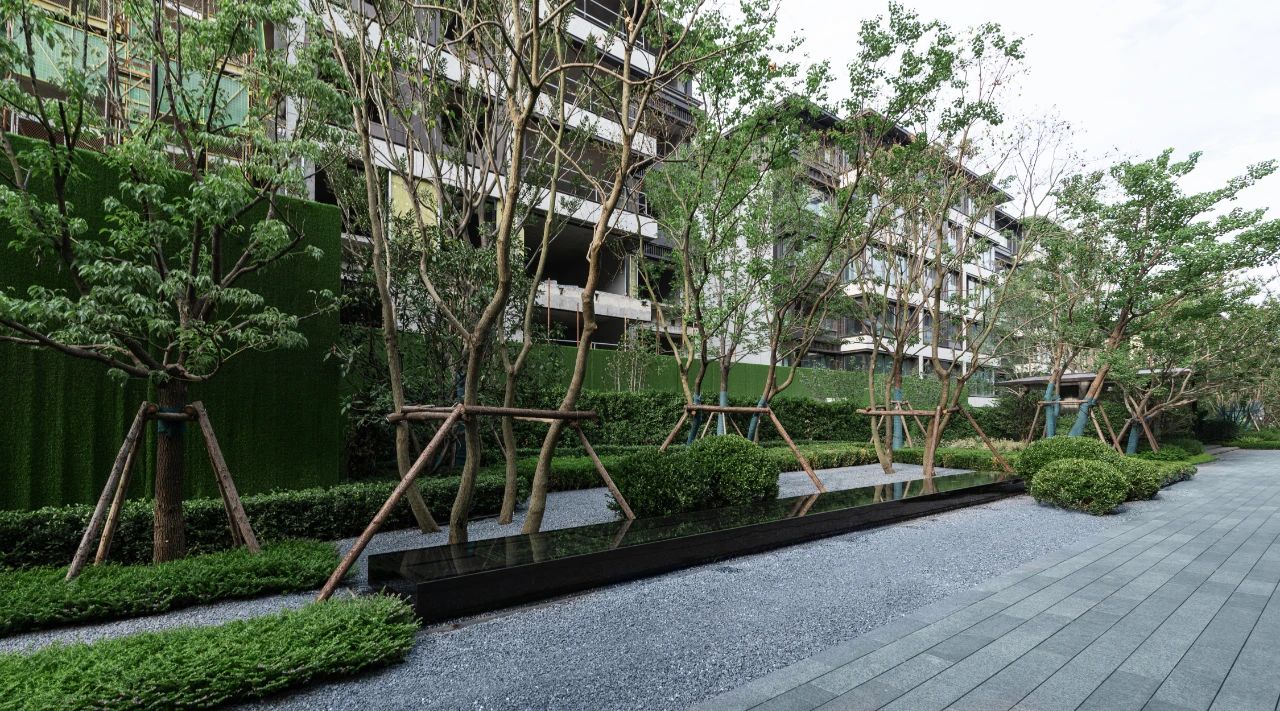 ��ʱ������(�й���)�������ǲ�!