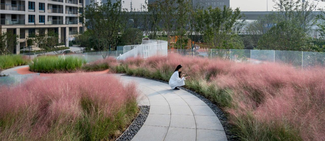 ��ʱ������(�й���)�������ǲ�!