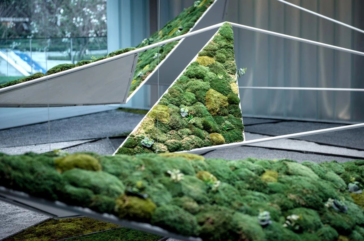 ��ʱ������(�й���)�������ǲ�!