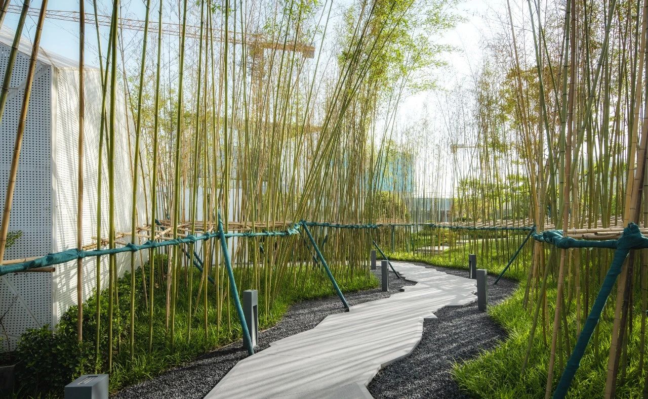 ��ʱ������(�й���)�������ǲ�!