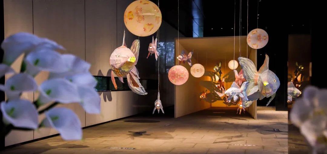 ��ʱ������(�й���)�������ǲ�!