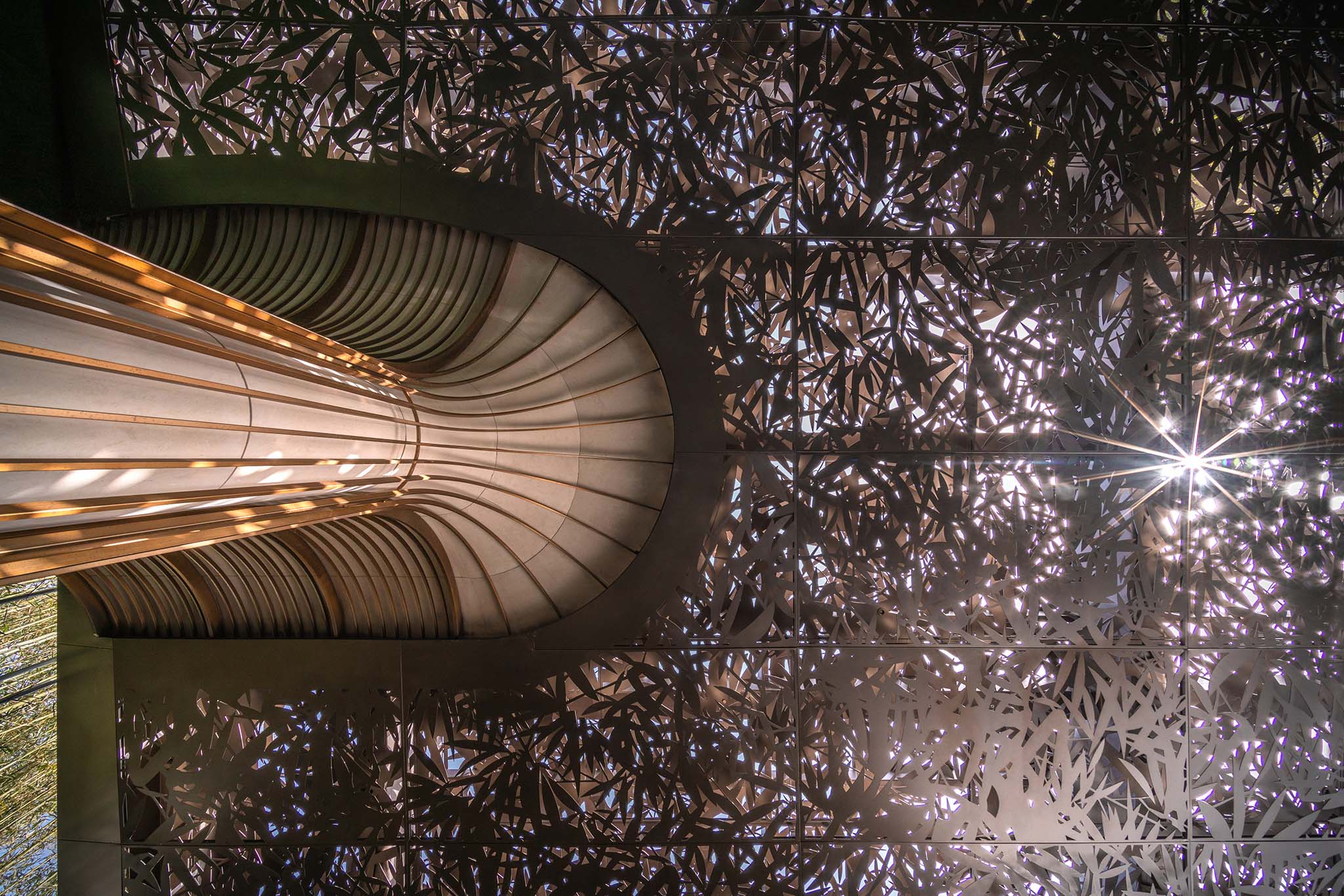 ��ʱ������(�й���)�������ǲ�!