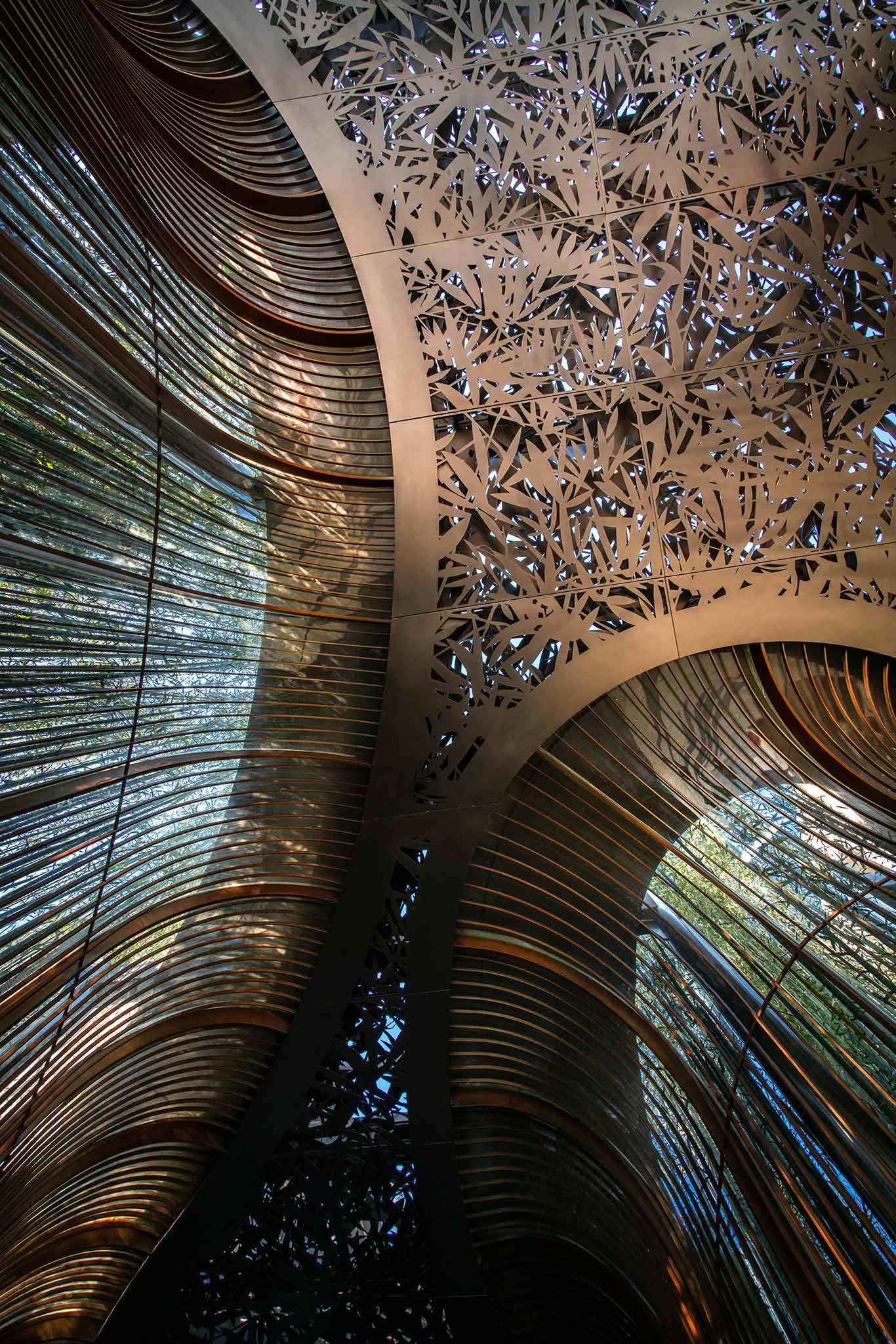 ×ðʱ¿Áú¡¤(ÖйúÇø)ÈËÉú¾ÍÊDz«!