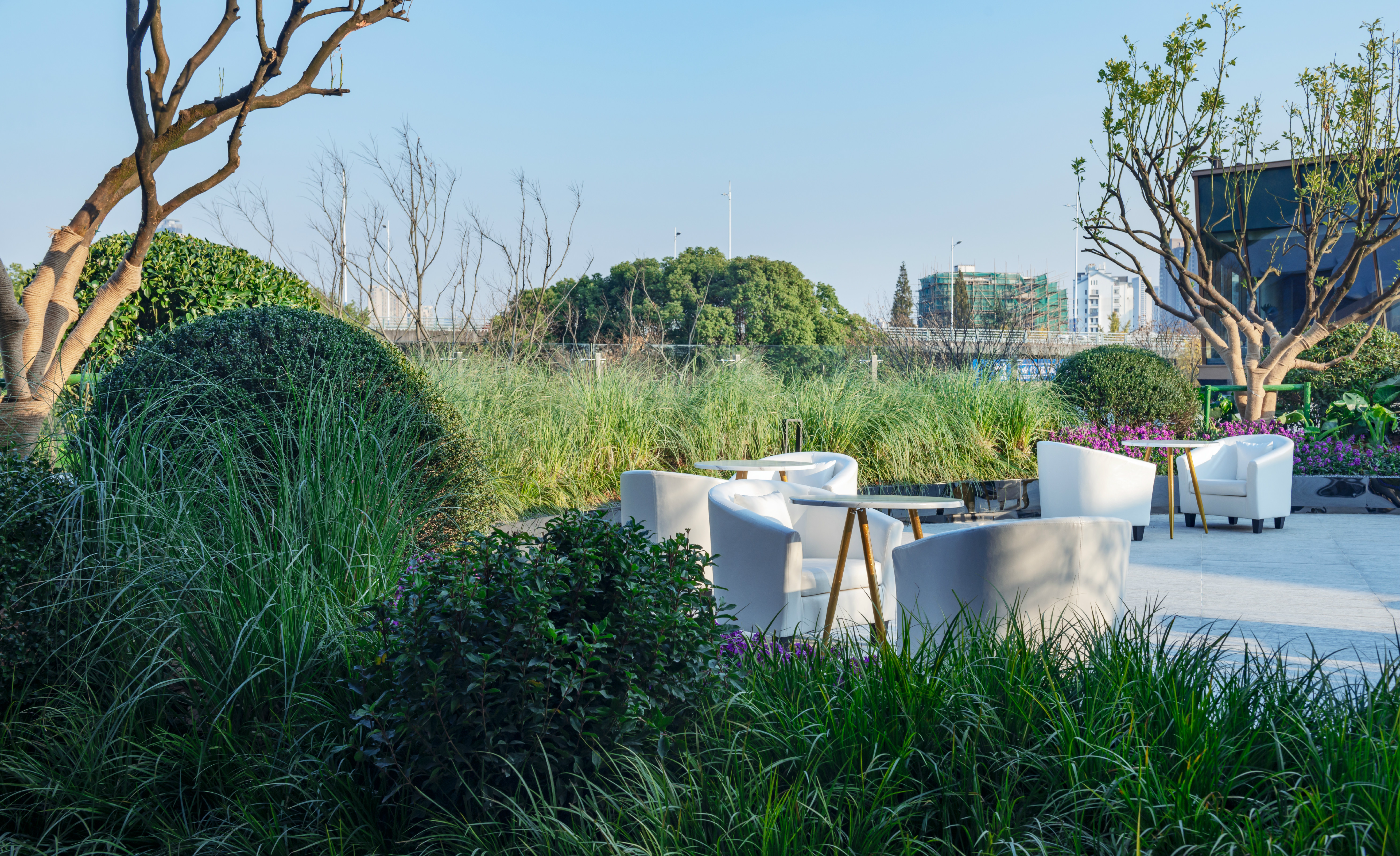 ��ʱ������(�й���)�������ǲ�!