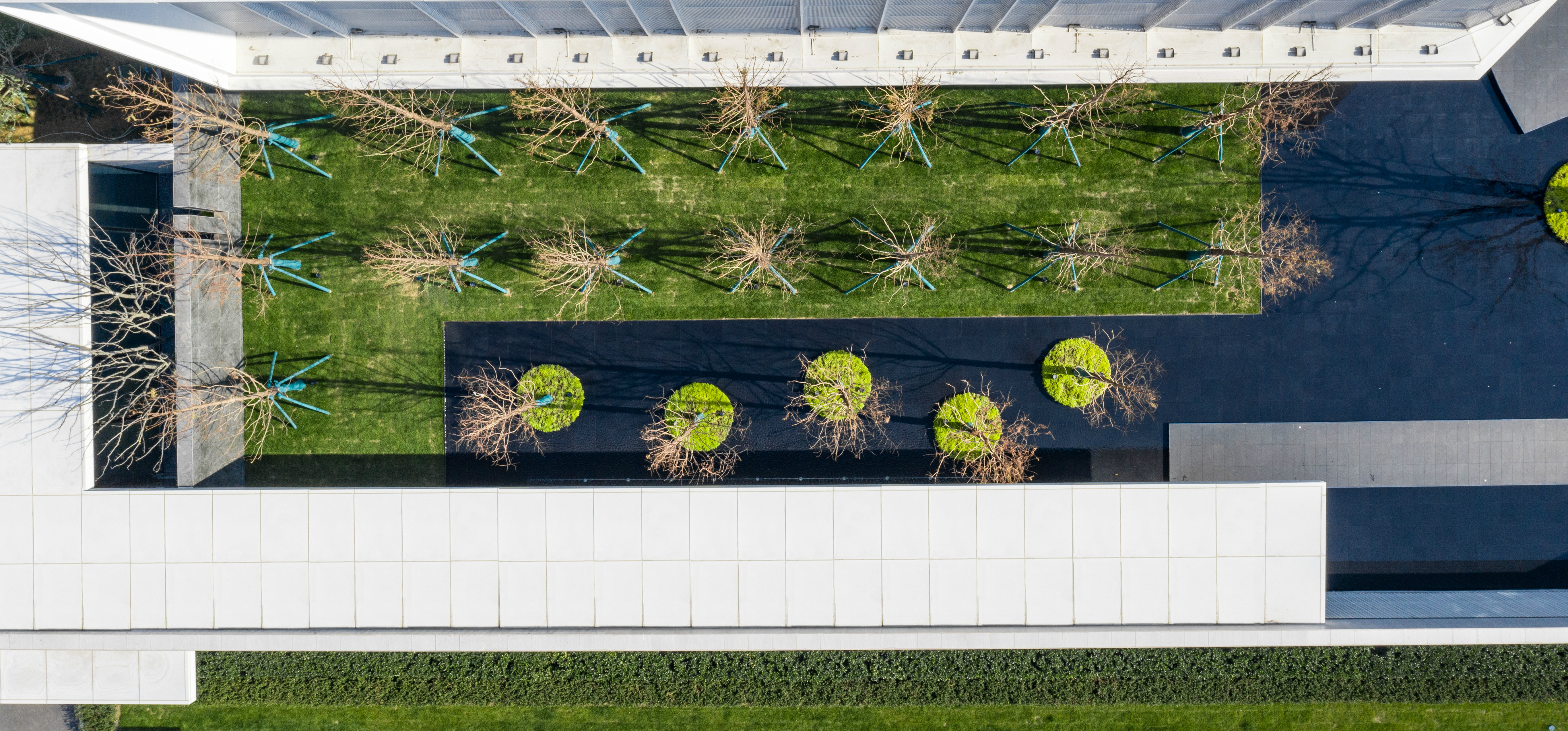 ×ðʱ¿Áú¡¤(ÖйúÇø)ÈËÉú¾ÍÊDz«!