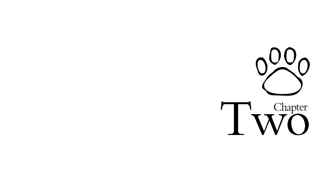 ��ʱ������(�й���)�������ǲ�!