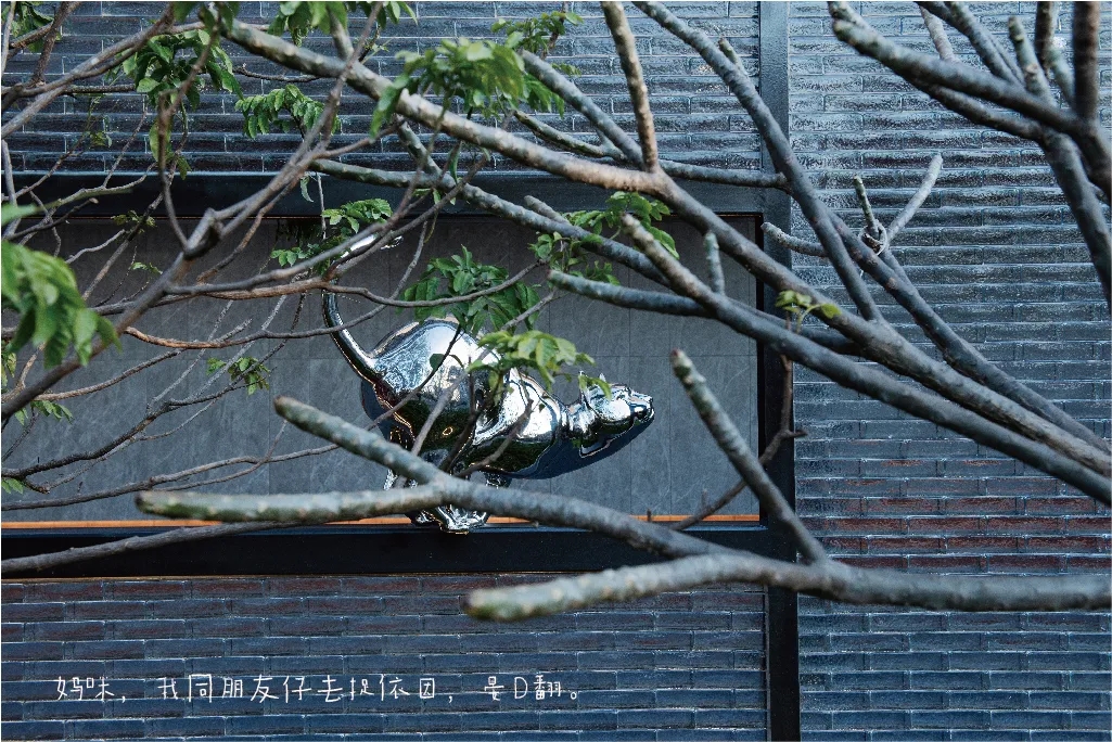 ��ʱ������(�й���)�������ǲ�!