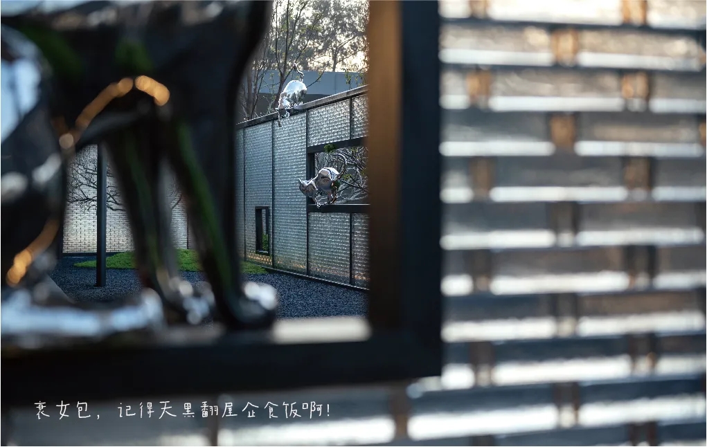 ��ʱ������(�й���)�������ǲ�!