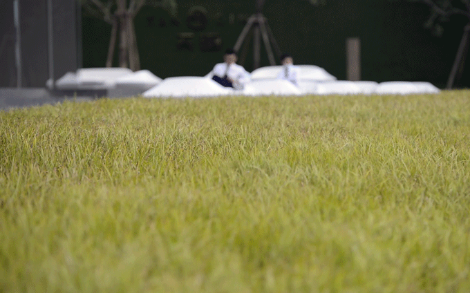 ��ʱ������(�й���)�������ǲ�!