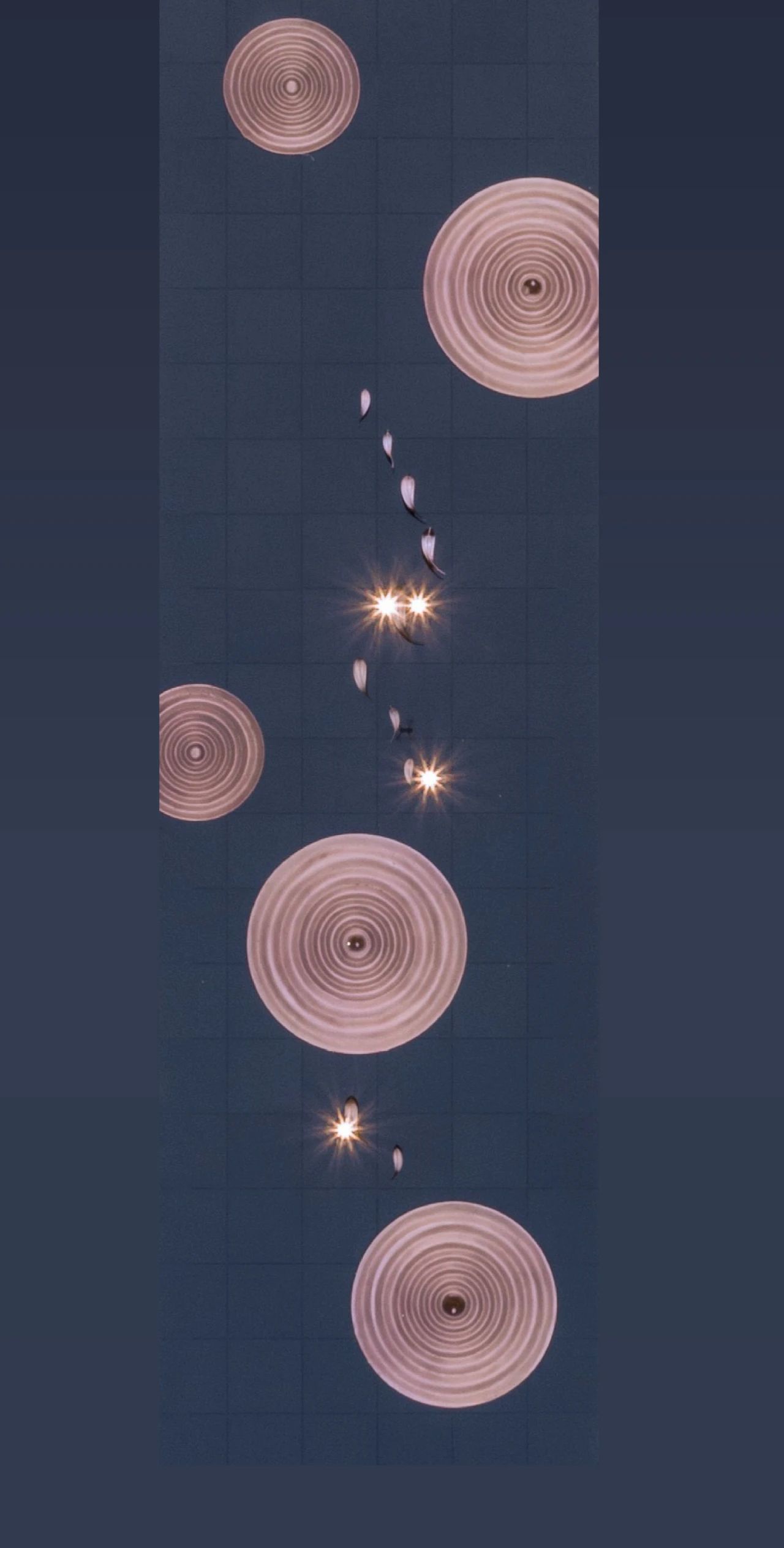 ��ʱ������(�й���)�������ǲ�!